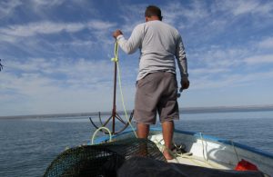 El gobierno federal apoya a pescadores Sudcalifornianos
