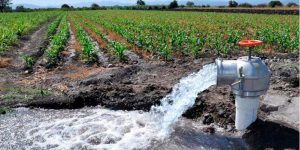 Se garantiza abasto de agua a 7 millones de hectáreas de riego